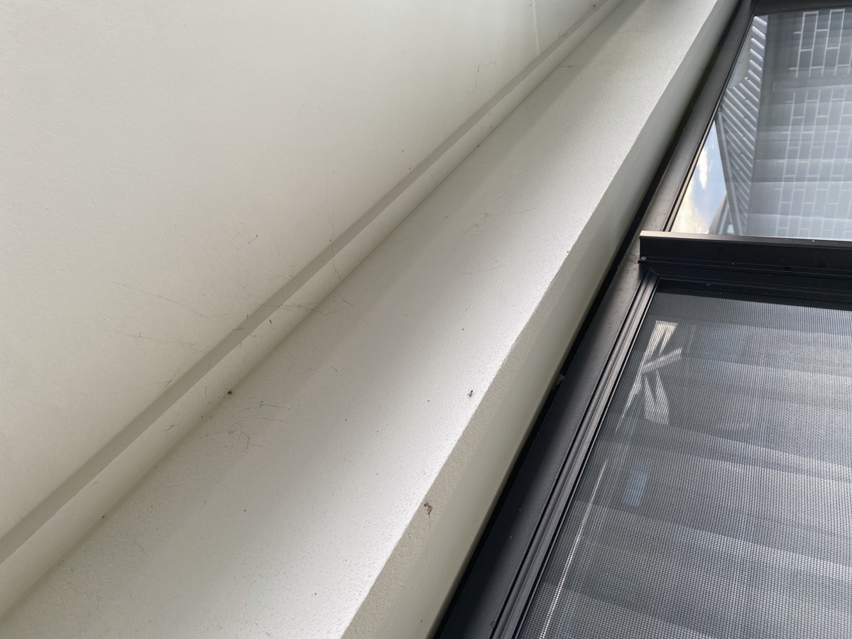 Rear window sag, recorded during a handover inspection in Box Hill